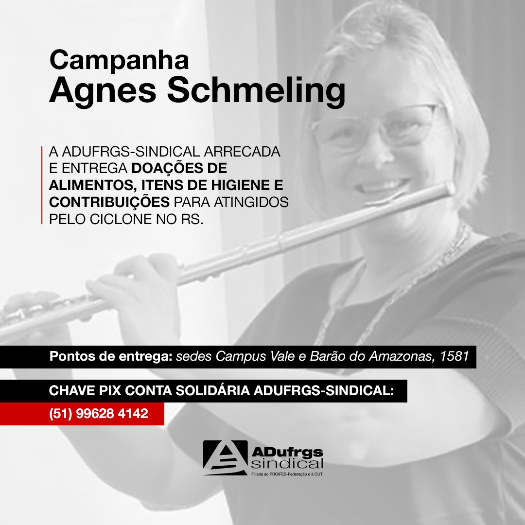 Campanha Agnes Schmeling: ADUFRGS-Sindical recebe doações para vítimas de ciclone